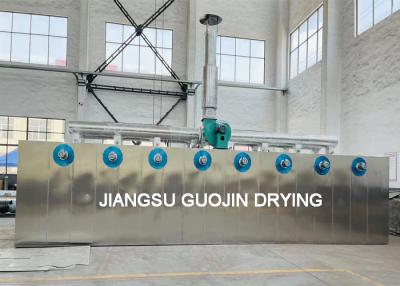 China Stainless Steel 316L GMP Tunnel Drying Oven For Salt Drying 2tons Per Day for sale