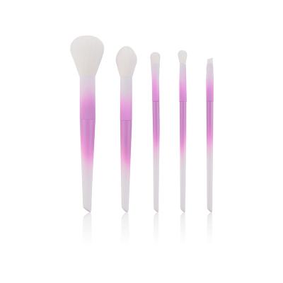 China Angular Blush 5pcs Mini Brush Set Plastic Handle Makeup Brush for Powder, Eyeshadow, Concealer for sale