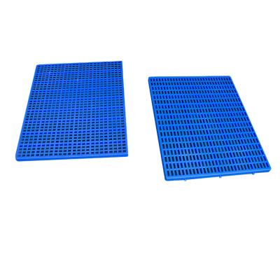 China Hot Selling Durable Easy Assembly Plastic Slat Cushion Moisture Proof Board For Use In Kitchen Warehouse Supermarket for sale