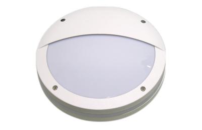 China Ultra Heldere Ronde 20W Openlucht LEIDEN Plafond Licht IP65 Geleid Waterdicht schot Te koop