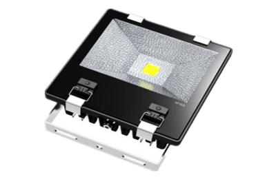 China High Brightness 50 Watt COB LED Flood Light 240V in Purify Aluminum for sale