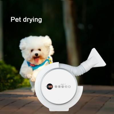 China Commercial Clothes Soothing Household Portable Pet Clothes Dryer 220V Small Electric Shoe Dryer 343x203x333mm for sale