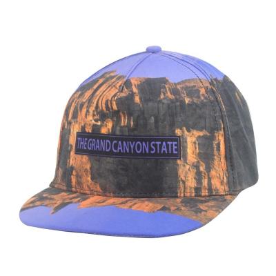 China COMMON Promotional Sublimation Flat Brim Mesh Trucker Cap With Flat Look for sale