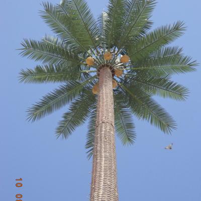 China Galvanized Steel 30m Saudi Palm Pole for sale