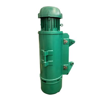 China Hotels Crane Electric Heavy Duty Power Elevator Motor 10 Ton CD Crane Type for sale