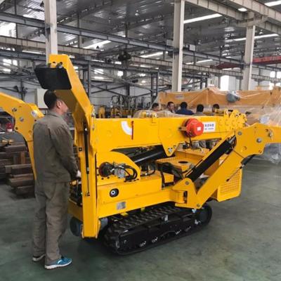 China Other China Mini Spider Lifting Crane Diesel Engine Crane Machine For Sale for sale