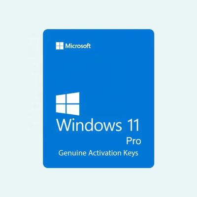 China Microsoft Windows 11 Pro Code 100% Online Activation License Key Original Key Code Send By Email, Windows 11 Pro Key Win 11 Pro for sale