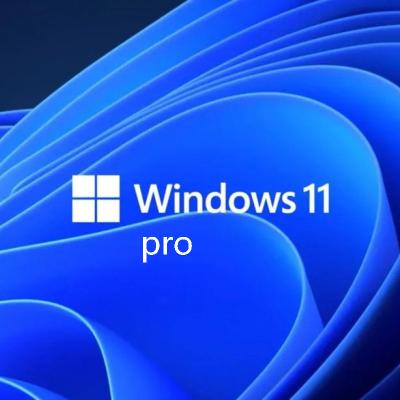 China 100% Working Windows 11 Pro Digital Key 100% Activation Online Windows 11 Professional Key Code Send by Email for sale