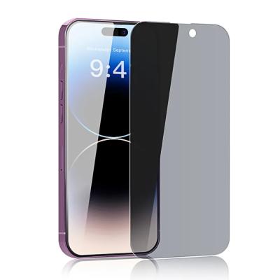 China Perfect Fit Anti-peep Screen Protector Fingerprint Privacy Screen Protector Film Tempered Glass for iPhone 13 max iPhone 14 pro for sale