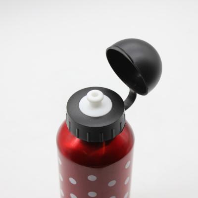 China Sustainable Printing High Quality Silk Bicycle Sports Aluminum Water Bottle for sale