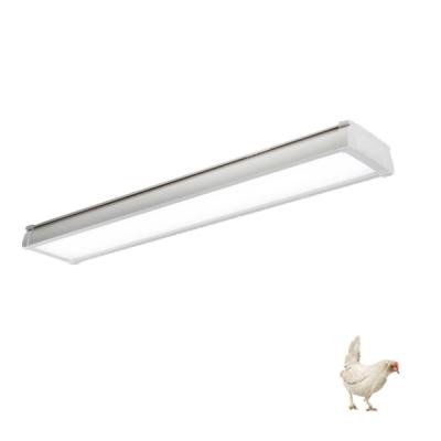 China Silver Housing Led Vapor Proof Light Fixture Epistar SMD2835 For Pig Farms for sale