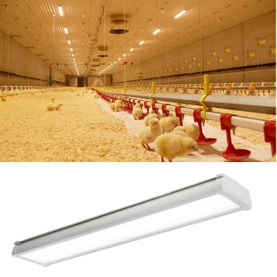 China Anticorrosion LED Tri Proof Light Poultry Farm Lighting IP65 CE RoHs UL DLC Approval for sale