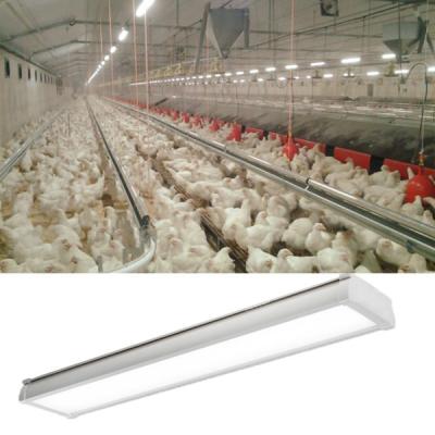 China No Dimmable Version LED Tri Proof Light 4ft 20/30/40/60 Watt For Poultry Farm for sale