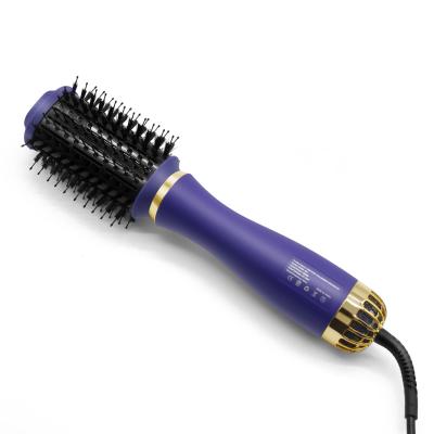 China Best Foldable Paddle Brush for Drying 2 in 1 360f Ceramic Hair Dryer Brush Dog Hair Dryer and Brush Groomer Styler for sale