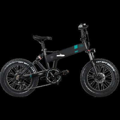 China Aluminum Alloy FIIDO M21Folding Electric Bike 20