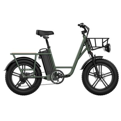 China FIIDO Alloy T1 750W 20AH Aluminum Electric Bike for sale