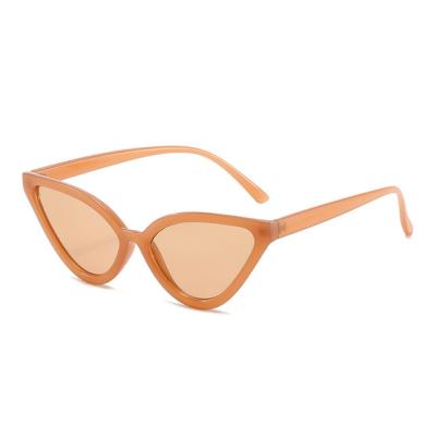 China Tenyarn Sun Sunglass Cat Eye Sunglasses Women Retro Jelly Tea Champagne Eyewear Men Fashion Trending Triangle Shade UV400 Sun Glasses for sale