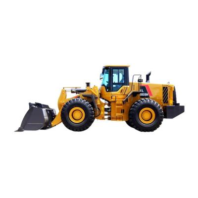 China Arabic Hotel Sale Foton Lovol 3 Ton FL936H Wheel Top Loader for sale