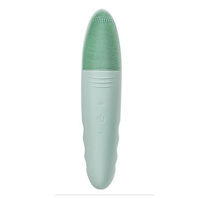 China High Quality Silicone Electric Facial Massager Beauty Skin Care Device Deep Cleansing Deep Cleansing Facial Massager for sale