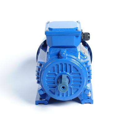 China AC Motor Y/Y2/Y3 /Y4 1450rpm Series 1.5kw Totally Enclosed Small Size Electric AC Motor for sale