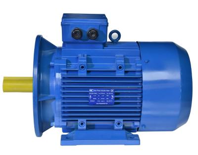 China Totally Enclosed Three Phase Induction Motor Motor With IE3 10kw 230v Electric Motor Factory for sale