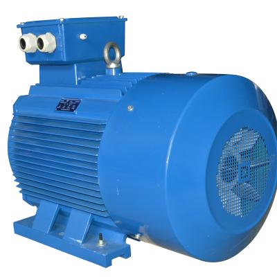 China Totally Enclosed Three Phase Y/Y2 Series 4 Pole Electric Motor 160 Kw With Cast Iron Housing for sale