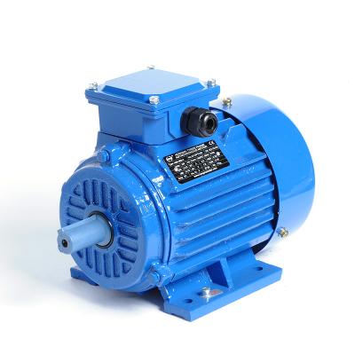 China 1HMI-IE1 Cast Iron Housing 2 Pole Totally Enclosed Three Phase Electric Asynchronous Induction Motor (EFF2) for sale