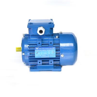 China Electric Motor Totally Enclosed Type IEC Standard With Low Noise Vibration Small 4p 0.18kw for sale