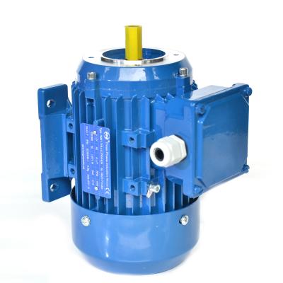 China Totally Enclosed Low Speed ​​1.3kw And 1.8kw Three Phase Variable AC Electric Induction Motor for sale