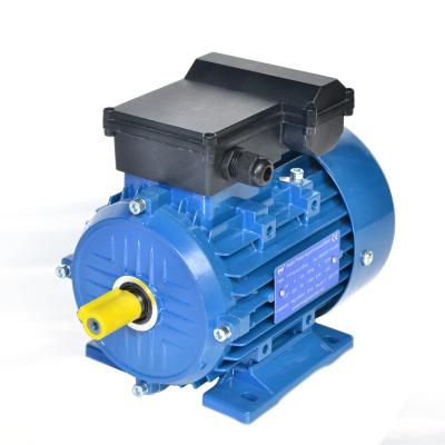 China YL 2 Pole Single Phase AC 2800rpm Totally Enclosed Electric Asynchronous Motor for sale