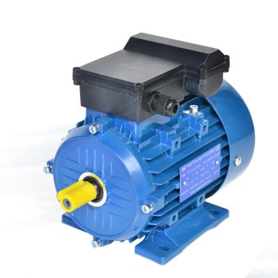 China Totally Enclosed Electric Pole Single Phase Induction Motor 4 50hz 220v for sale