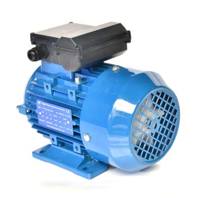 China Totally Enclosed Start Capacitor 2hp 4 Pole Single Phase Pump Electric Motor With Specifications for sale