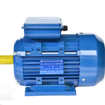 China Two Capacitors 3000rpm Start-Runing 500 Watt 220v Single Phase Totally Enclosed Electric Induction Motor for sale