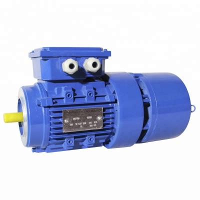 China Totally Enclosed Three Phase Asynchronous AC Brake Motor 880rpm for sale