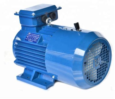 China Totally Enclosed Three Phase Low RPM YEJ DC Electric Brake Motor for sale