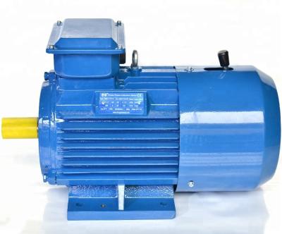 China High Quality Totally Enclosed 6poles YEJ DC Electric Brake Motor for sale