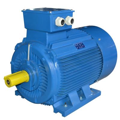 China Totally Enclosed Cast Iron IE1 Housing 110kw 150hp 2900rpm AC Electric Induction Motor for sale