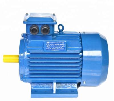 China YE2 High Efficiency Totally Enclosed Totally Enclosed 3 Phase Asynchronous Electric Motors for sale