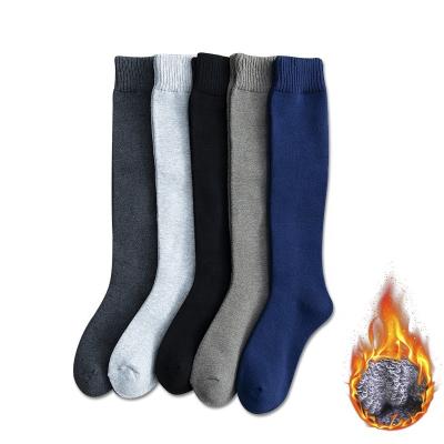 China High Calf Socks Size 38-44 Terry Socks Cotton Thicken Knee Leg Cover Warm Antibacterial Winter Compression Stockings Men Long à venda