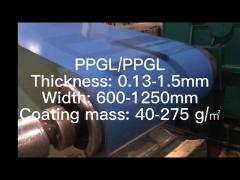 PPGI/HDG/GI/SECC DX51 ZINC Cold rolled/Hot Dipped Galvanized Steel Coil/Sheet/Plate/Strip