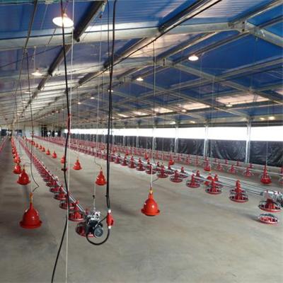 China OEM-Floor-System für Broiler 380V zu verkaufen