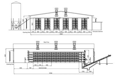 China ISO Broiler Chicken Cage System Custom Poultry Broiler Cage Voor pluimveehouderij Te koop