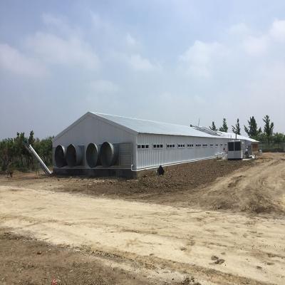 Chine Élevage de volailles maison de poulet bâtiment de structure en acier préfabriqué léger à vendre