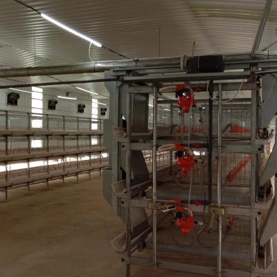 Chine 1950*350*380mm Poultry Laying Cage for Poultry Farm Advanced Technology à vendre