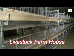 Prefab Steel Structure Breeder Chicken Houses Agricultural Livestock House