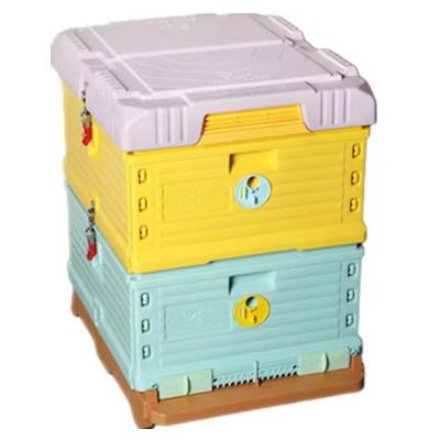 China Double-Layer 10 Plastic Frame Trusses Thermoplastic HDPE Beehive Beehive for sale