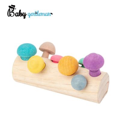 China 2021new Educational Toy Design Wooden Mushroom Hunting Toy Z01415A for sale