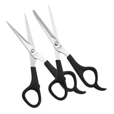 China Professional Embroidery Barber Scissors Safety Point Hair Scissors Set Silver Sharp Barber Scissors for sale