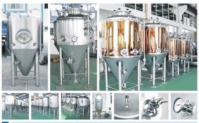 China Beer Brewer Equipment Manual / Semi Automatic / Fully Automatic for sale