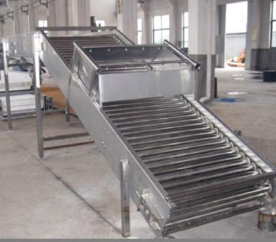 China Fruit and Vegetable Processing Equipment Roller Conveyor for Beverage Machinery for sale